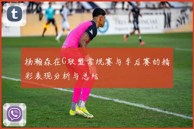 杨瀚森在G联盟常规赛与季后赛的精彩表现分析与总结